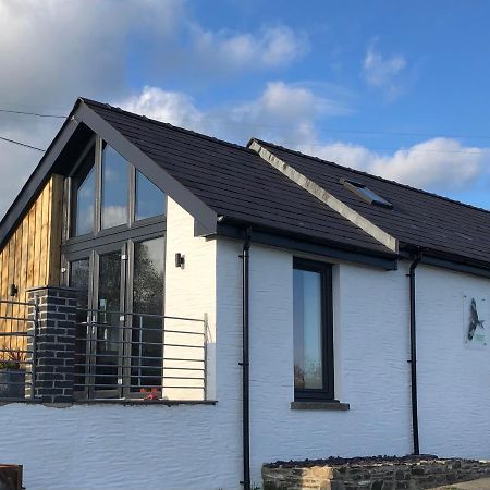 Red Kite Cottage Carmarthen Dış mekan fotoğraf