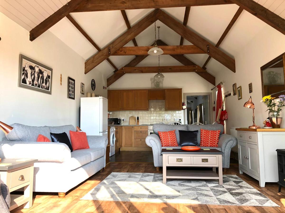Red Kite Cottage Carmarthen Dış mekan fotoğraf