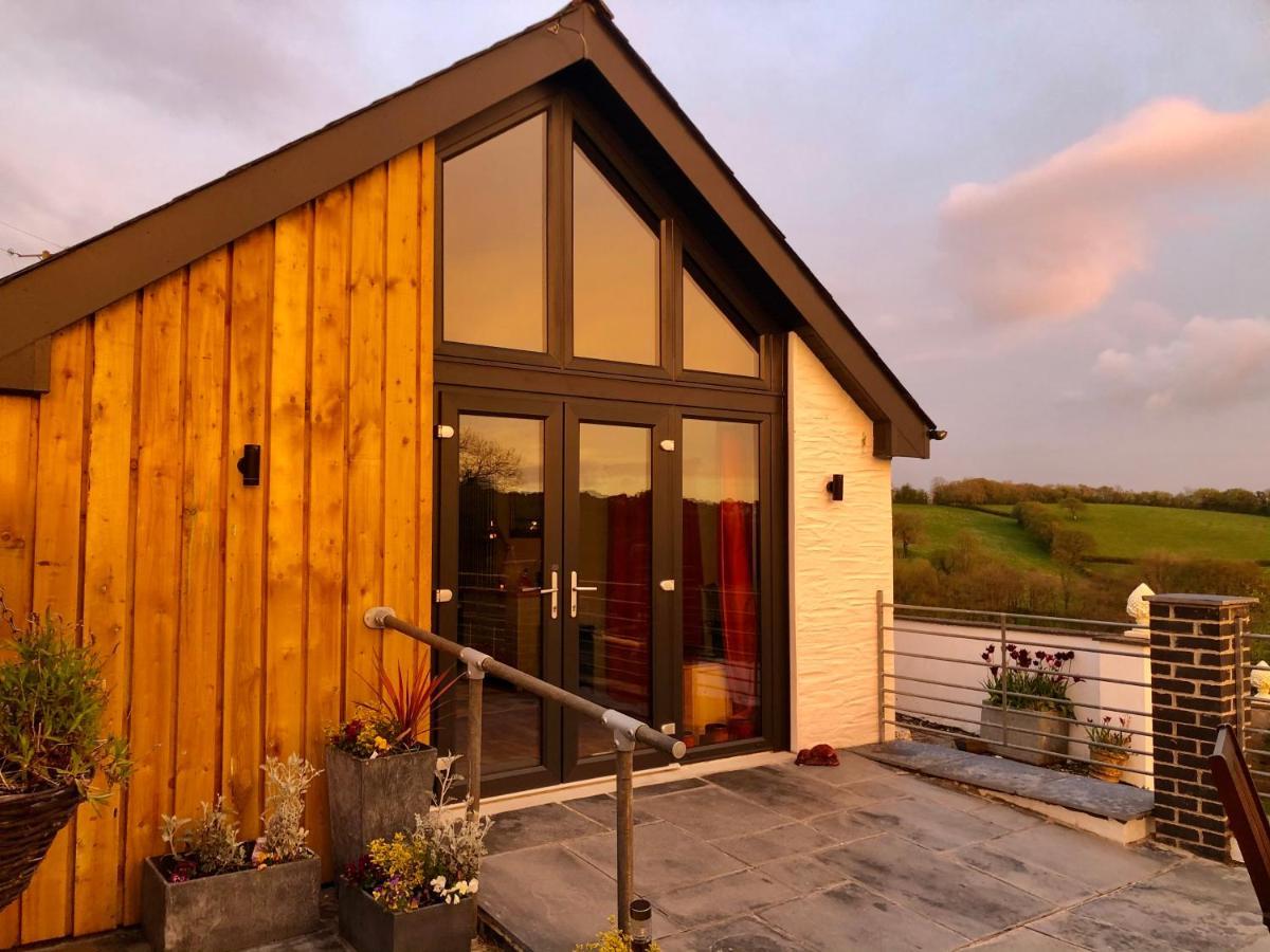 Red Kite Cottage Carmarthen Dış mekan fotoğraf