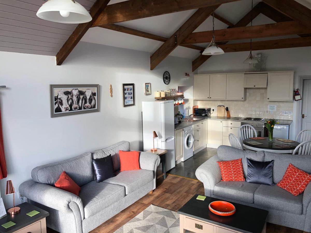 Red Kite Cottage Carmarthen Dış mekan fotoğraf