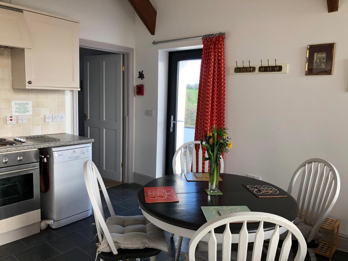 Red Kite Cottage Carmarthen Dış mekan fotoğraf